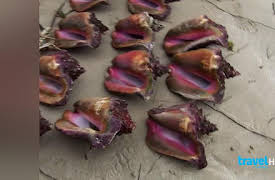 Bizarre Foods with Andrew Zimmern Season 1: Trinidad and Tobago