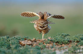 Great Plains, Season 1: A Long Hard Struggle