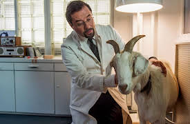 Tatort: Munster (English Subtitles): The Miracle of Wolbeck (English Subtitles)