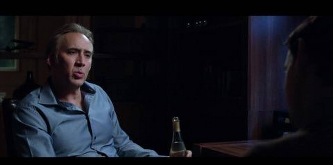 Dying of the Light (2015)