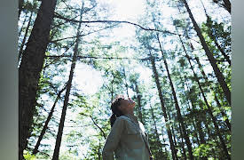 Pension Metsa: Bonfire (Episode 3 of 6)