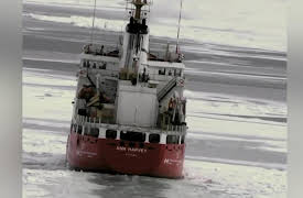 East Harbour Heroes S1: Boats, Boats, Boats