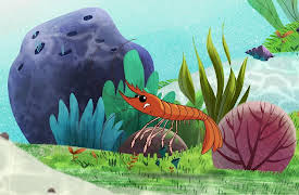 I'm a Fish: I'm a Shrip