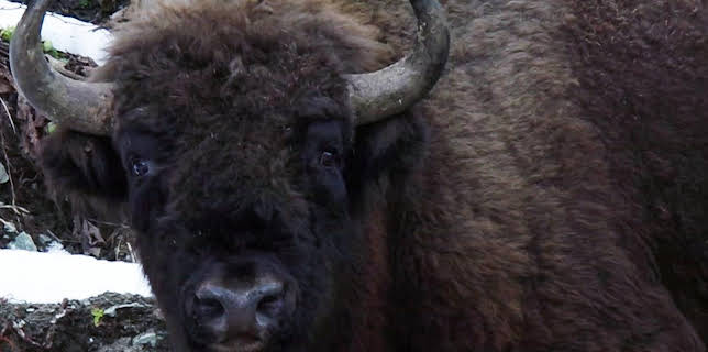 02:35: Heute im Osten - Reportage | MDR Fernsehen | 12/28 2025