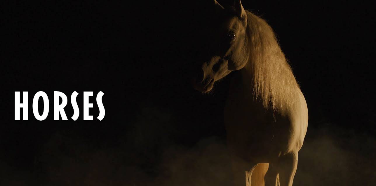 Horses (2020)