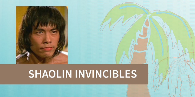 Shaolin Invincibles (2007)