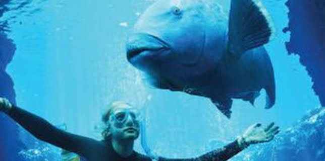 17:47: Nadando en libertad | Telemadrid | 1/18 2026