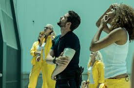 Vis a vis: Gato gris