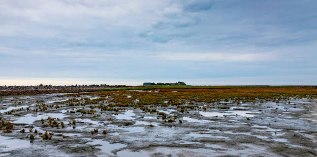 19:00: Unkraut | BR Fernsehen | 11/24 2025