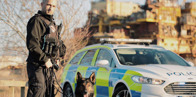 2:00 PM: Police Interceptors (S13 E10) (S13) | 5 Star | 11/13 2025