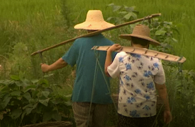 Horror In The East: Turning Against the West