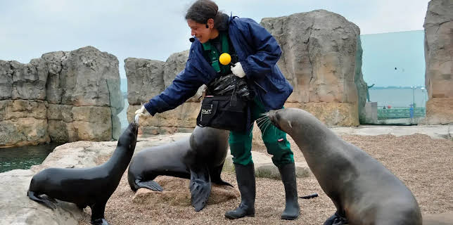 17:10: Seehund, Puma & Co. (112) | Radio Bremen | 3/3 2026