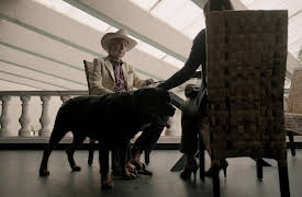 Señorita Pólvora season-1: Señorita pólvora Capítulo 6