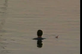 Sea Power: Destroyers & Corvettes