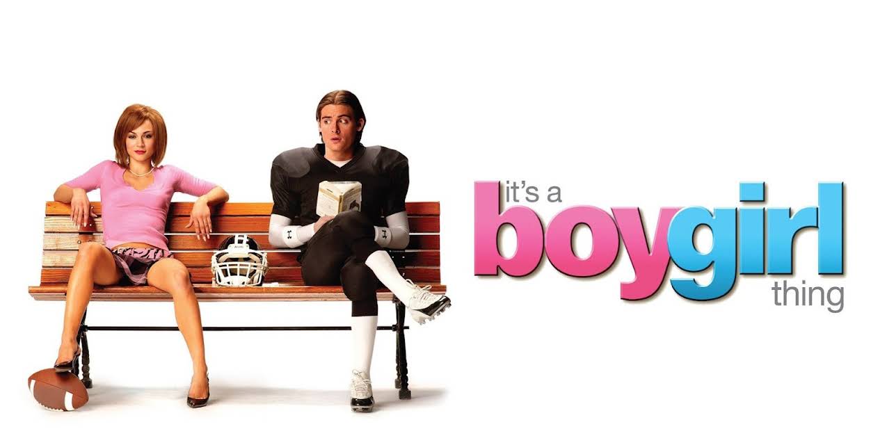 It's a Boy Girl Thing (2008)