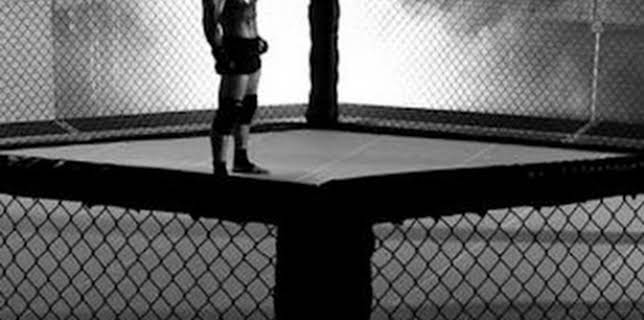 13:50: UFC 235: Jones vs Smith (T2019): Jon Jones vs Anthony Smith | GOL | 12/8 2025