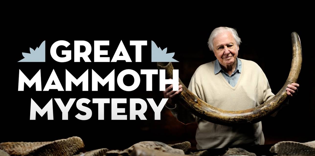 Great Mammoth Mystery (2022)