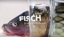 Fisch ahoi! Das Meer braucht eine Pause (2/6)