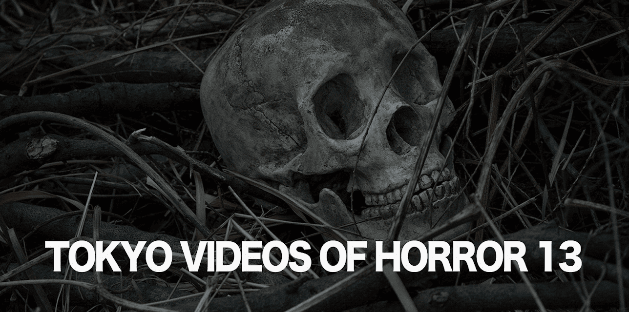 Tokyo Videos of Horror 13 (2015)