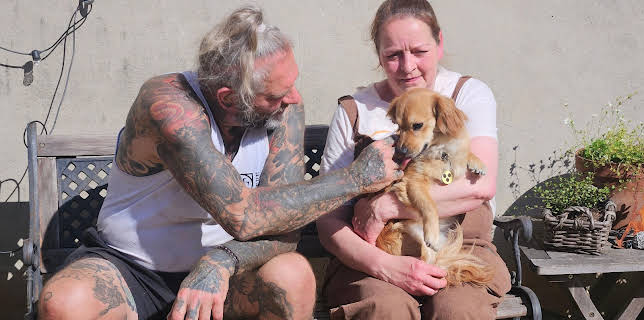 19:10: Harte Hunde - Ralf Seeger greift ein | VOX | 1/17 2026