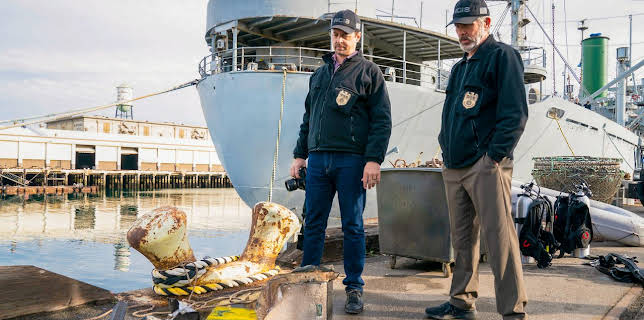 8:00 PM: NCIS (S20 E13) (S20) | 5 USA | 12/31 2025