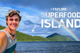 Wild Brothers Shorts: Wild Brothers Shorts | I Explore Superfood Island