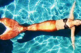 Life as a Mermaid: Captivity