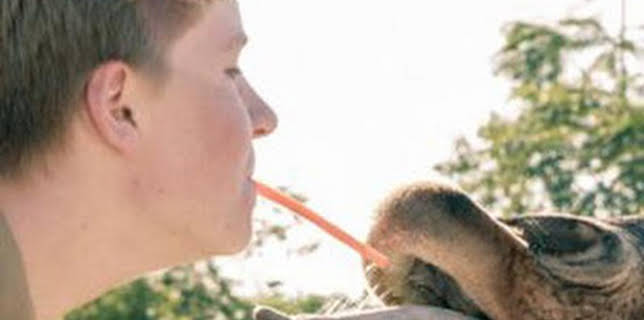 10:22: The Irwins: ¡Es una cría de jirafa! | Discovery Max | 3/22 2026