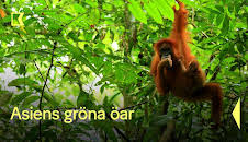 Asiens gröna öar