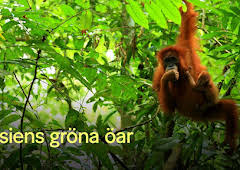Asiens gröna öar