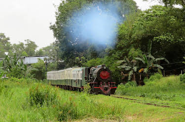 14:45: Mit dem Zug durch Sabah auf Borneo | 3SAT | 11/1 2026