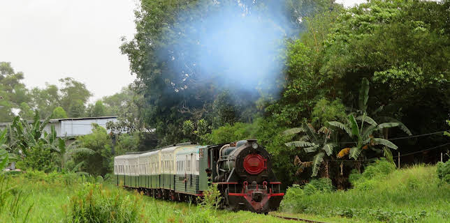 12:15: Mit dem Zug durch Sabah auf Borneo | 3SAT | 1/7 2026