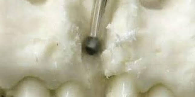 15:10: Así se hace (MAX): Réplicas de esqueletos | Discovery | 2/25 2026