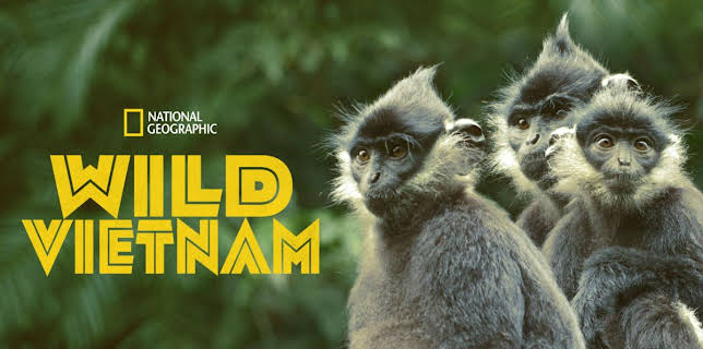Wild Vietnam