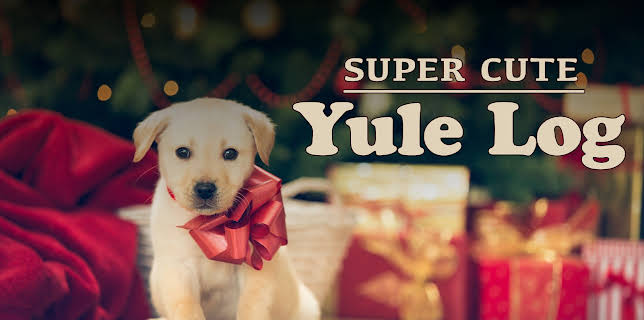 Super Cute Yule Log