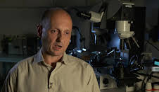 Medical Detectives - Geheimnisse der Gerichtsmedizin