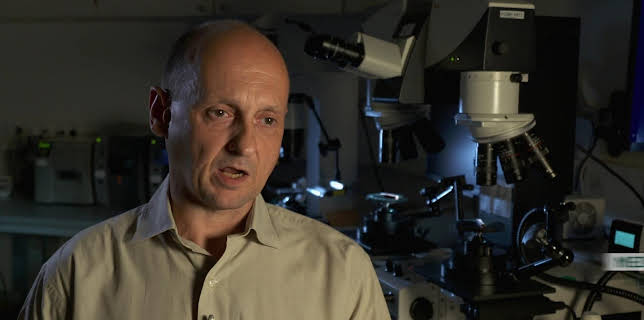 03:00: Medical Detectives - Geheimnisse der Gerichtsmedizin | VOX | 12/22 2025