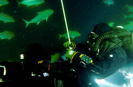 The Bermuda Triangle: Into Cursed Waters Season 1: Holes in the Ocean