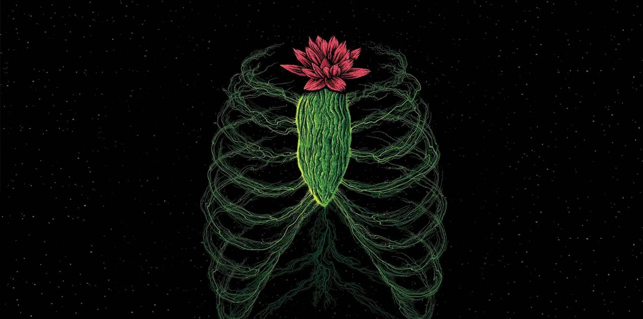 Invasion of the Body Snatchers (1978)