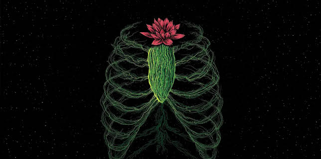 Invasion of the Body Snatchers (1978)