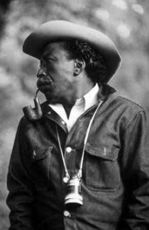 Gordon Parks as Director