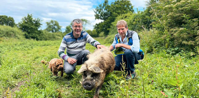 9:00 AM: The Yorkshire Vet (S15 E7) (S15) | 5 Select | 3/27 2026