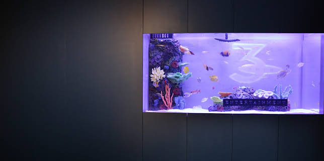 22:00: Tanked (S8 E6) (S8) | Animal Planet | 11/30 2025