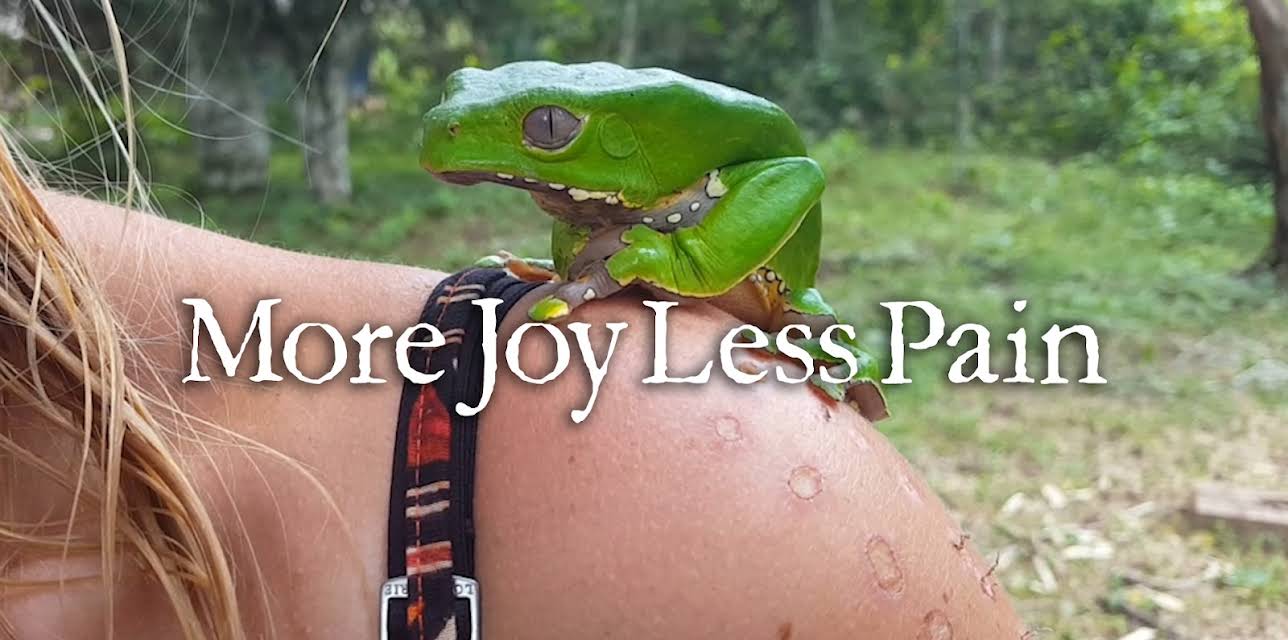 More Joy Less Pain (2020)