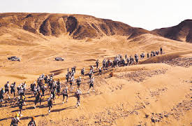 Losers: Lost in the Desert