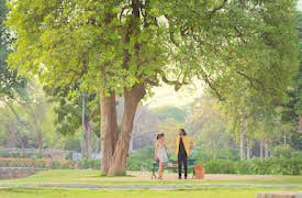 IRL - In Real Love: Cross-Connections