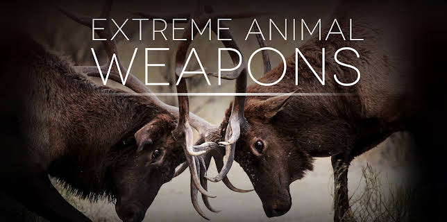 Extreme Animal Weapons (1974)