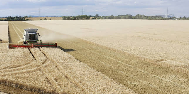 14:15: Leschs Kosmos | ZDFinfo | 12/22 2025