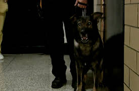 Jail S1: He Said He Said Fight