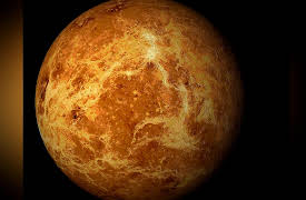 Life in Our Universe: Could Life Ever Have Existed on Venus?
